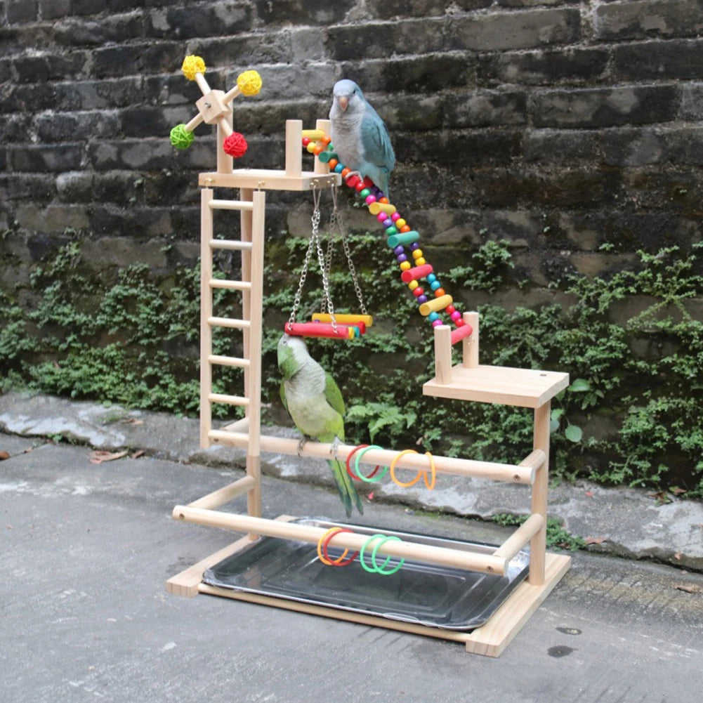Bird Perch Playground