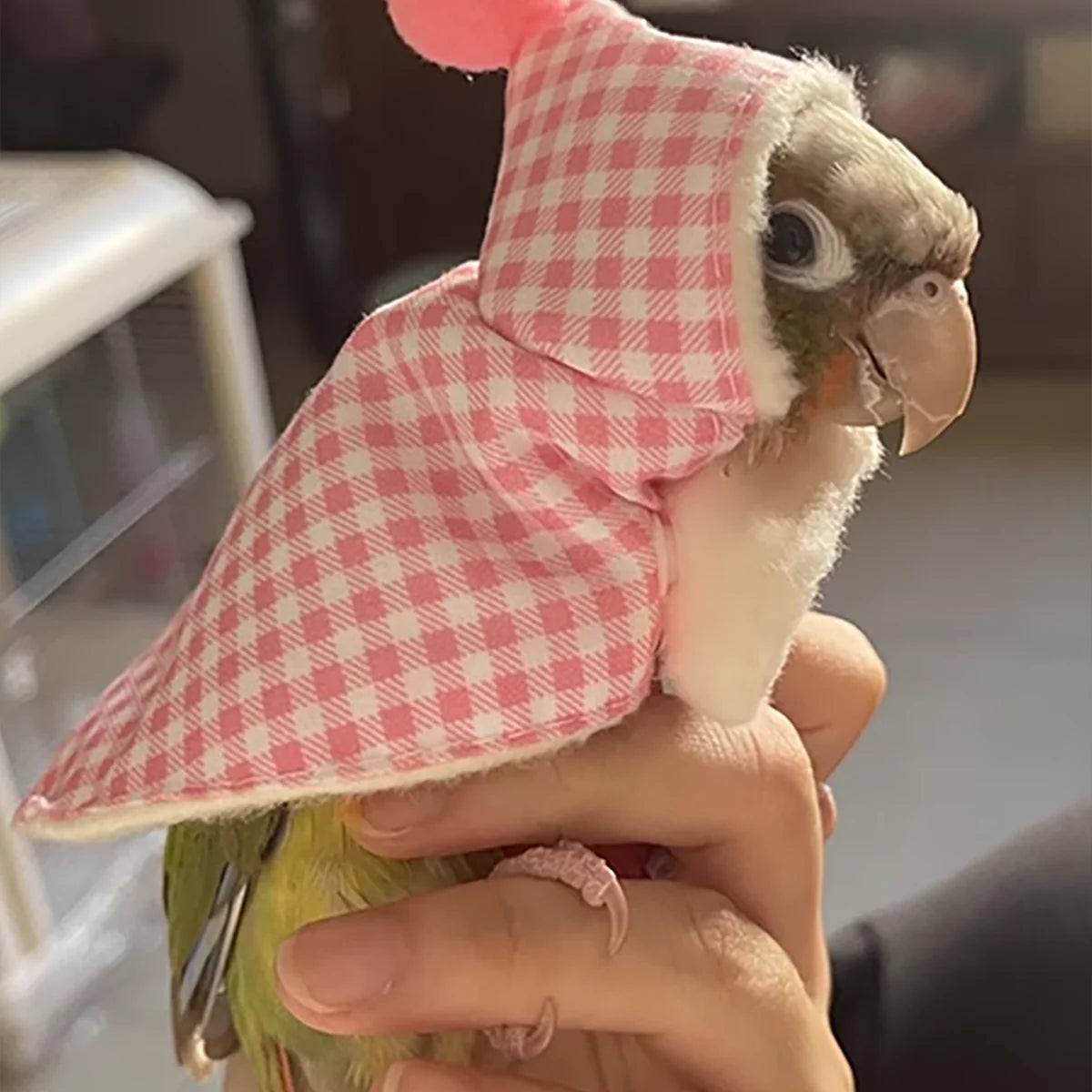 Bird Flight Suit Diaper - Cute Parrot Clothes & Cape
