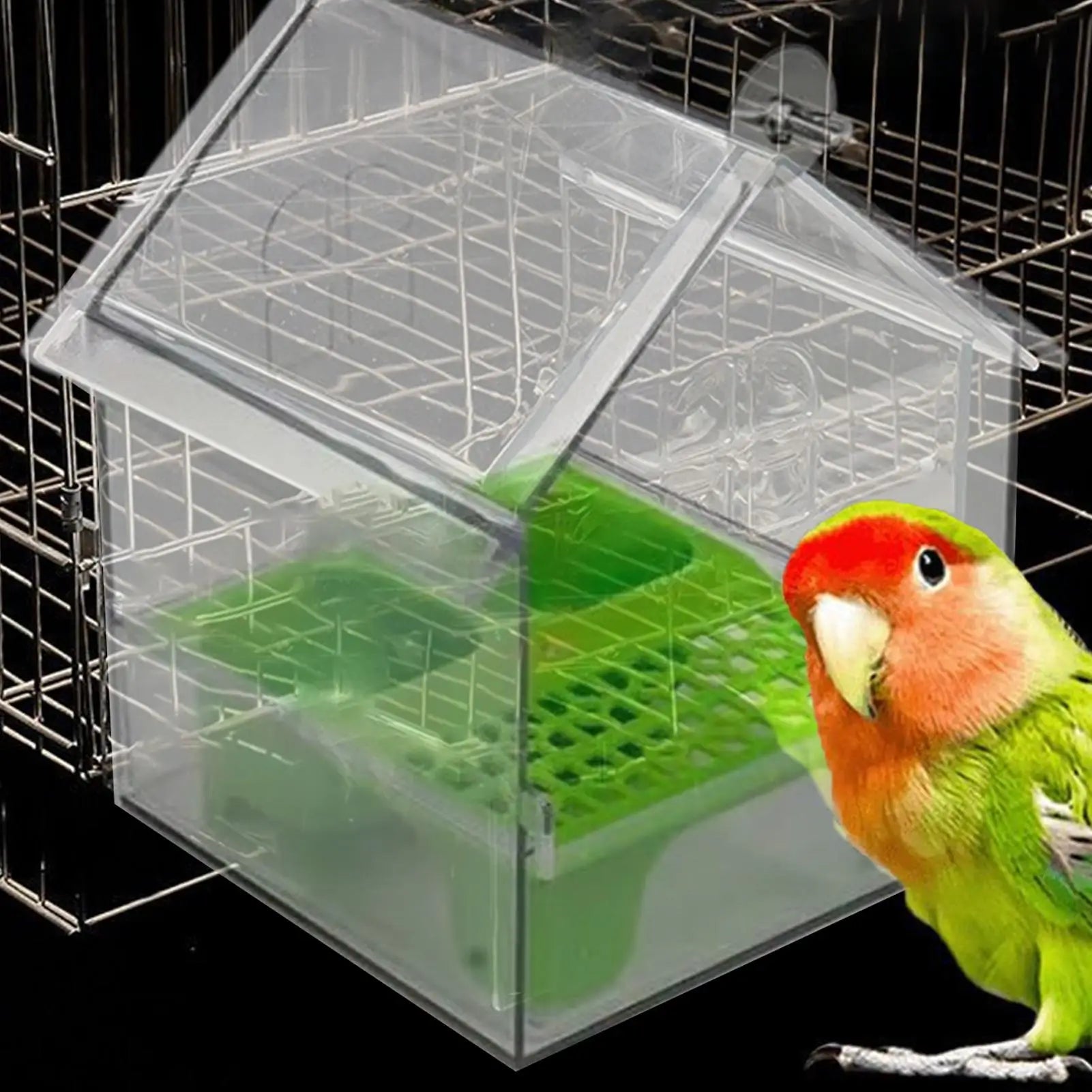 Anti-Scatter Bird Feeder & Bath