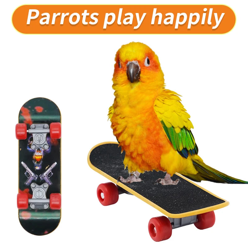 Parrot Mini Skateboard Training Toy