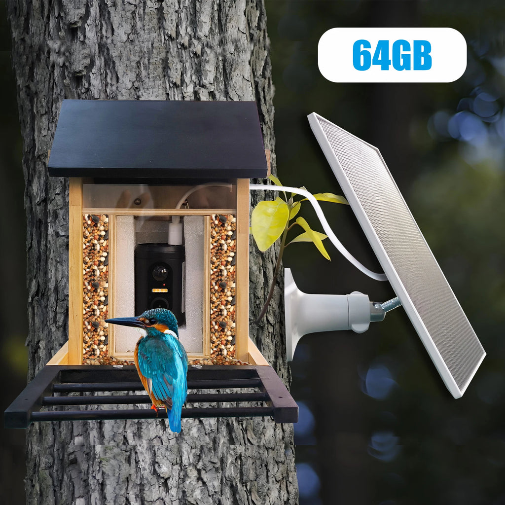 Smart Bird Feeder with HD Camera
