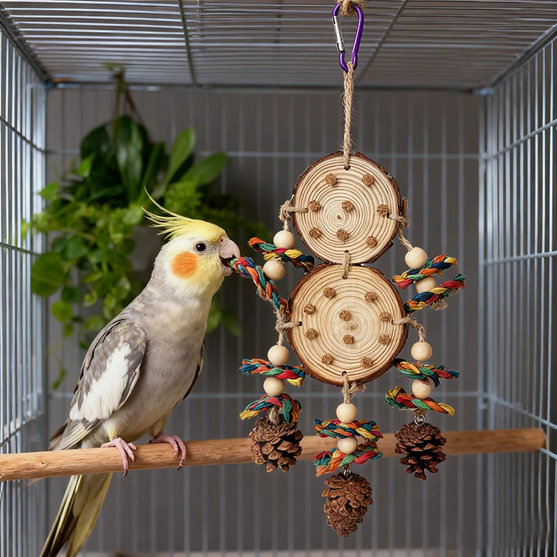 Parrot Chew Toy Set – Natural Wood, Corn Husk & Pinecone