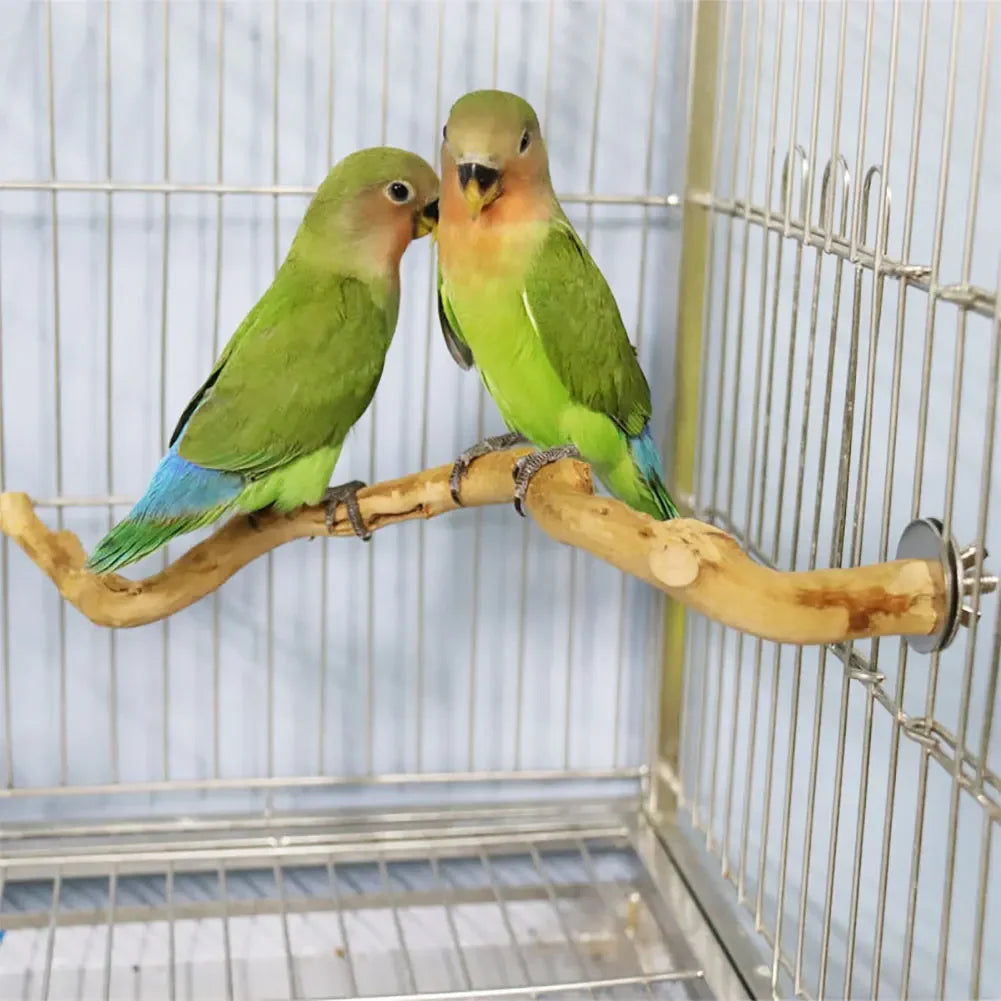 Natural Branch Standing Perch