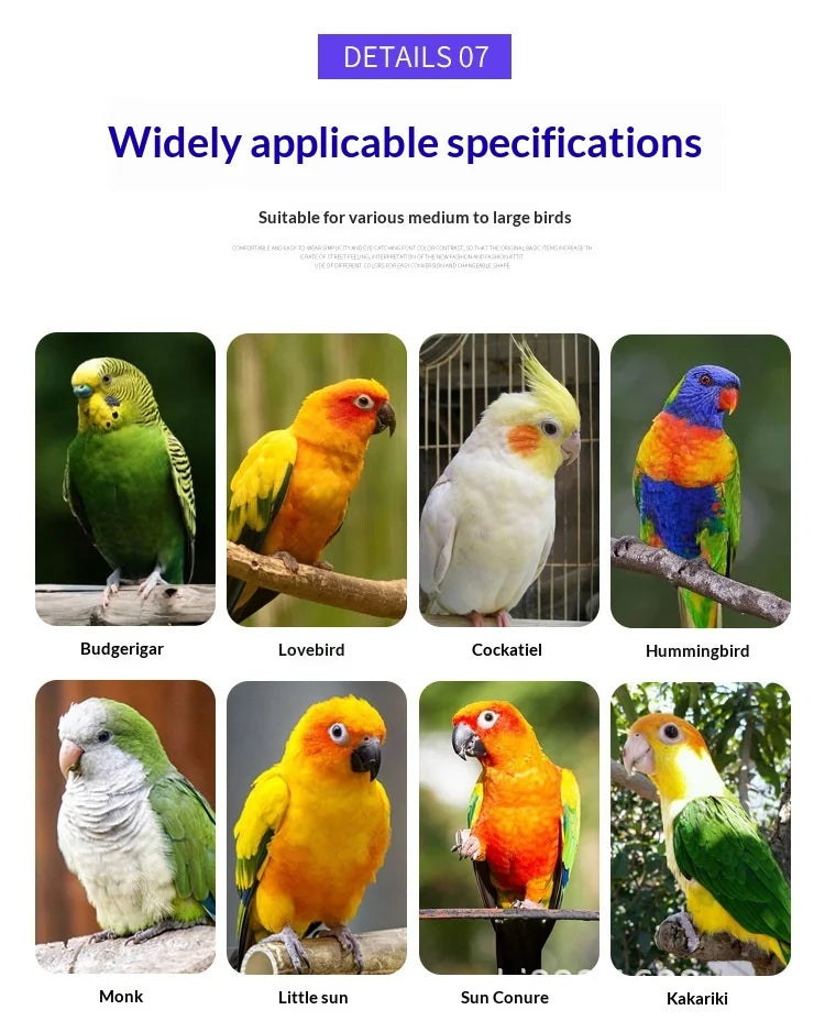 Luxury Metal Multi-Bird Aviary