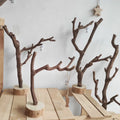 Handmade Wood Branch Display Stand with Tray