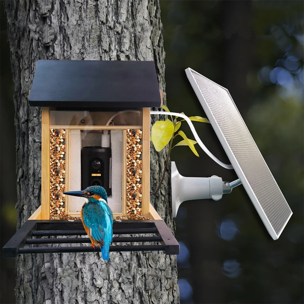 Smart Bird Feeder with HD Camera
