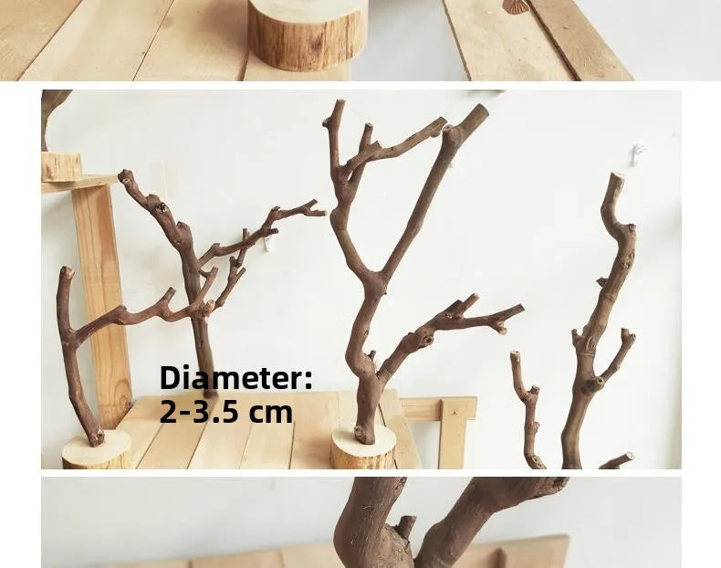 Handmade Wood Branch Display Stand with Tray