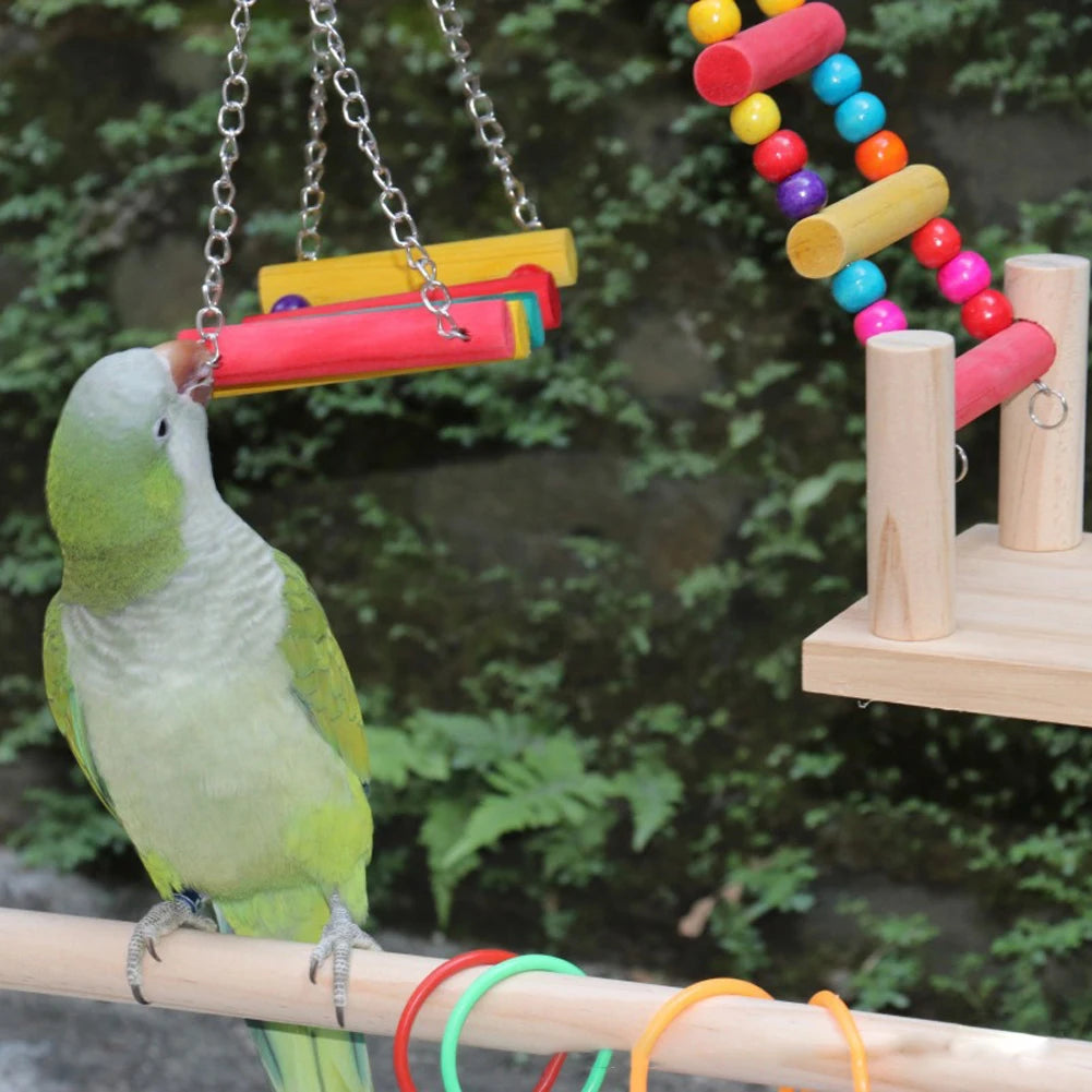 Bird Perch Playground