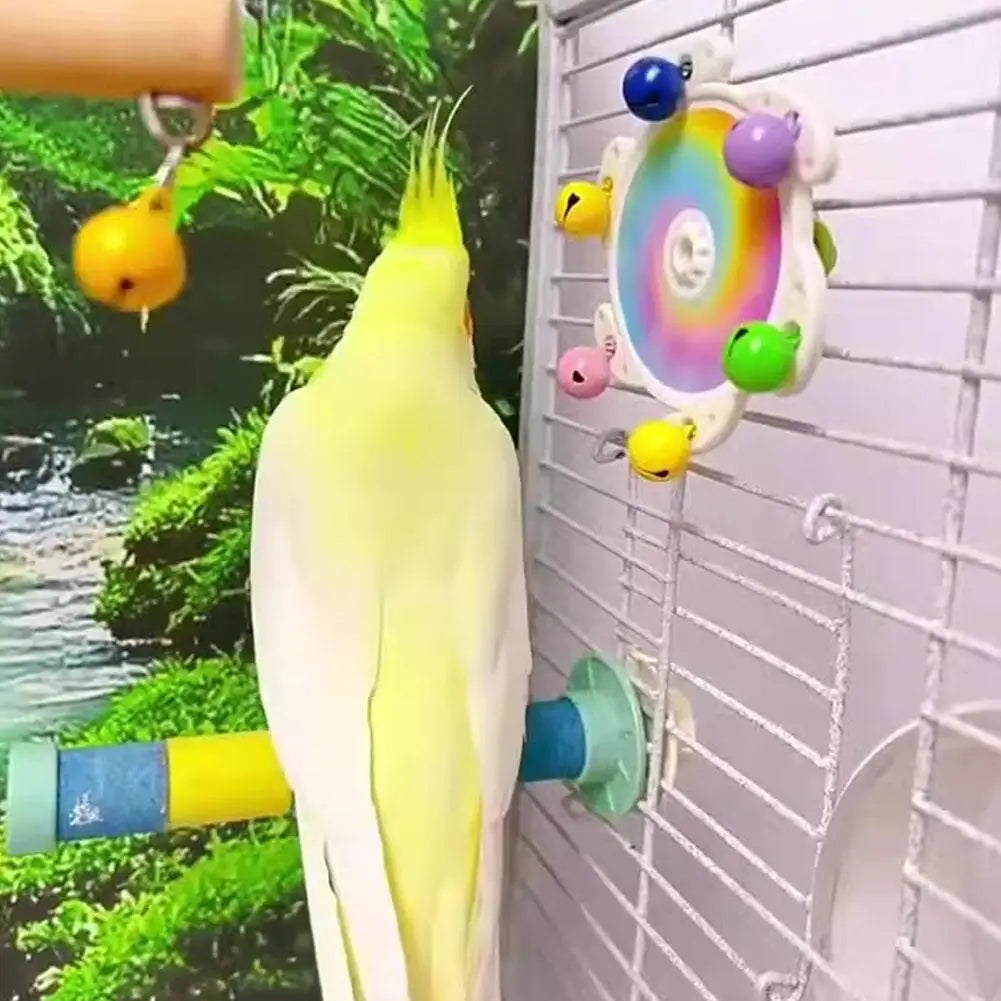 Parrot Rotating Spinner Wheel Toy
