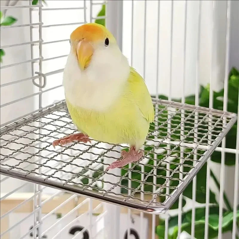 Stainless Steel Parrot Perch